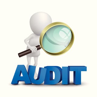 Audit Image